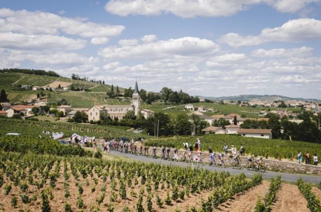 The Tour de France peloton passes through the Beaujolais wine district
