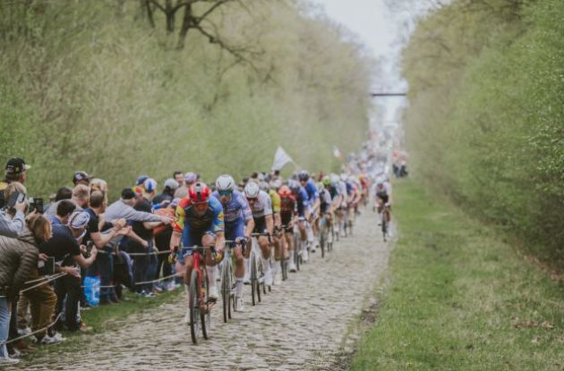 Mads Pedersen and other riders in the Arenberg Forest during Paris-Roubaix 2024