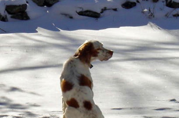 Will at rest in snow. Photo copyright Paul Rogen/Roadcycling.com. Will at rest in snow. Photo copyright Paul Rogen/Roadcycling.com.