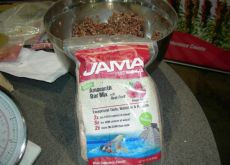 JAMA - Food of the Gods. JAMA - Food of the Gods.