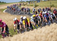 Cyclists in the Tour de France peloton