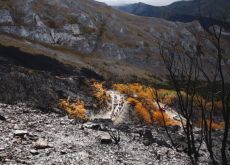 | Unipublic Cyclists climbing burnt mountain after forest fires in Spain