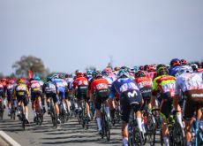 Cycling peloton seen from behind
