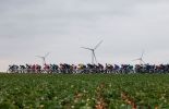 Paris-Nice peloton passing by wind turbines in central France